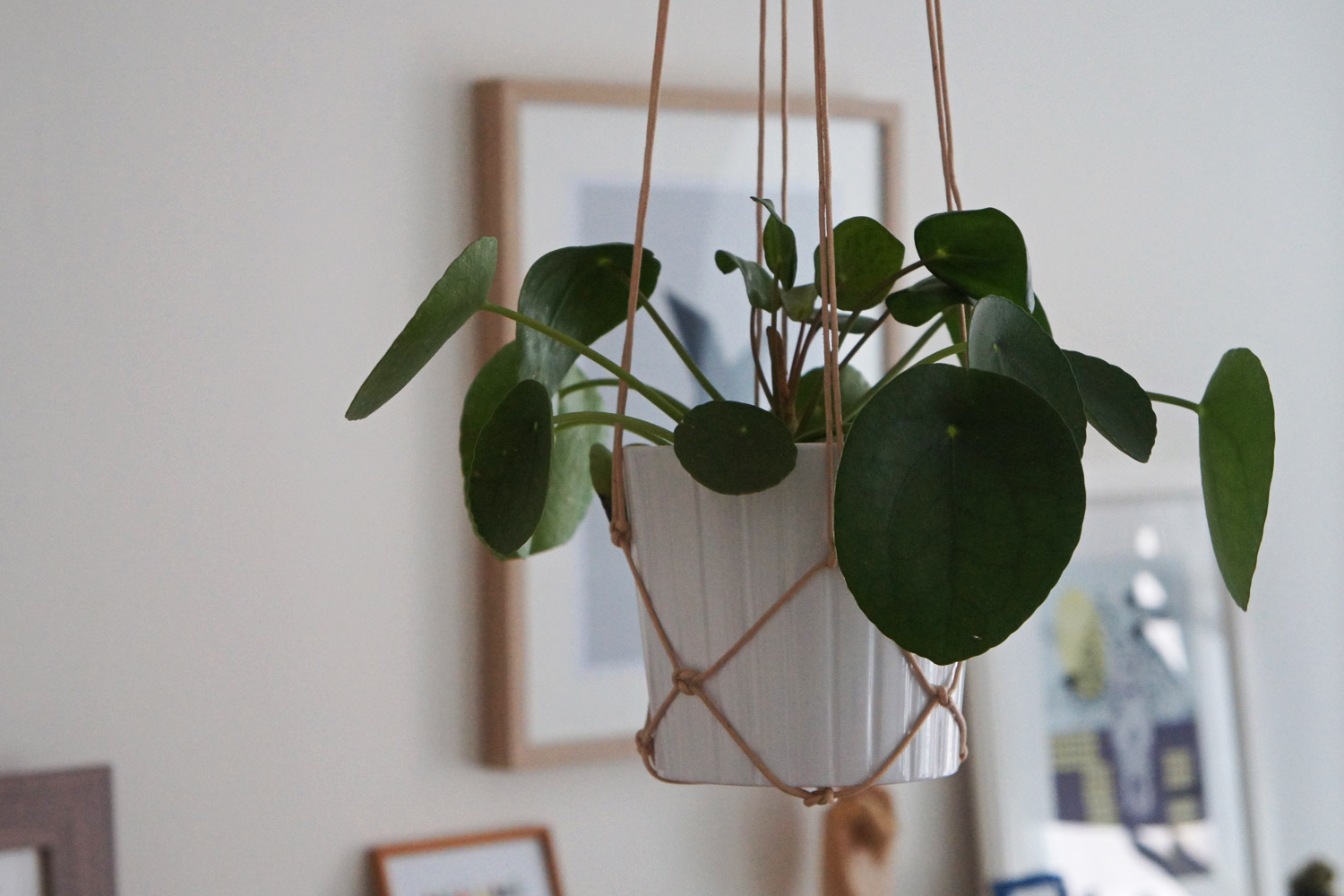 Diys og kreative idéer hos styledesigncreate