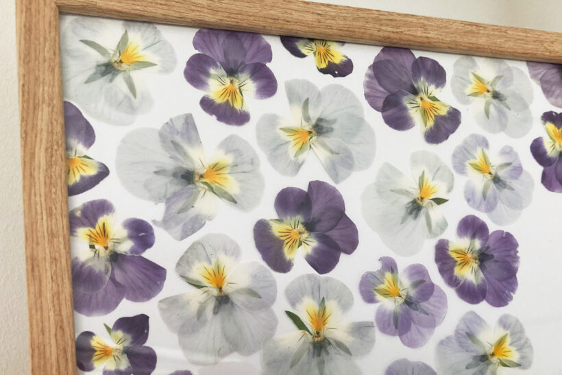 Pressede blomster