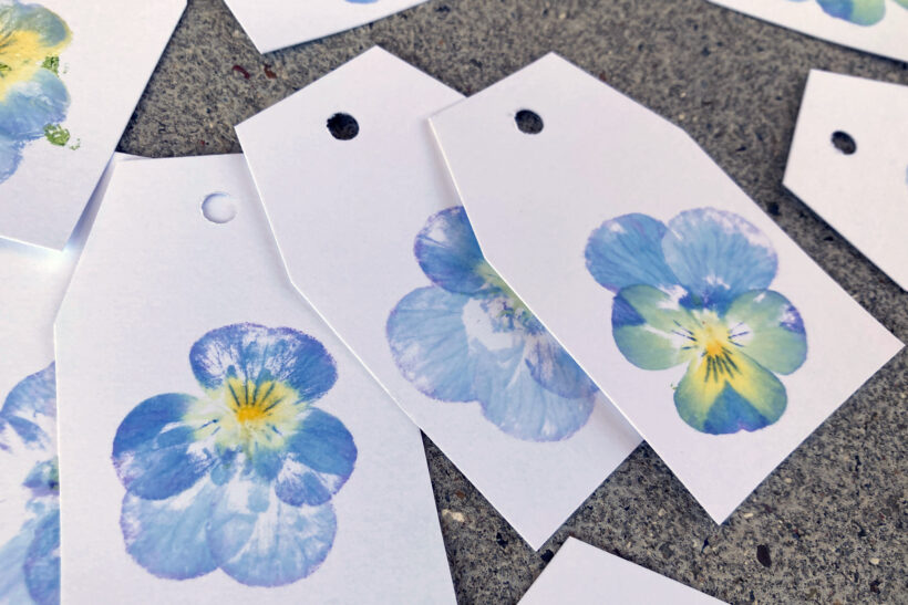 Tryk med stedmoderblomster