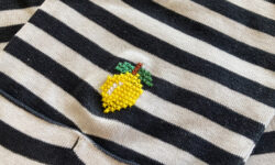 reparation med citron i korsstingsbroderi