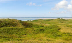 Blåvand