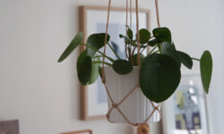 DIY planteophæng