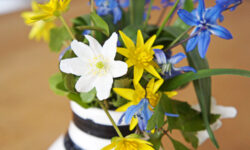 StyleDesignCreate: Forårsblomster