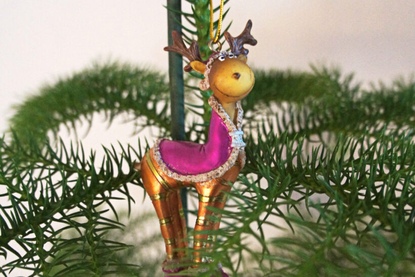 StyleDesignCreate: Julen 2012