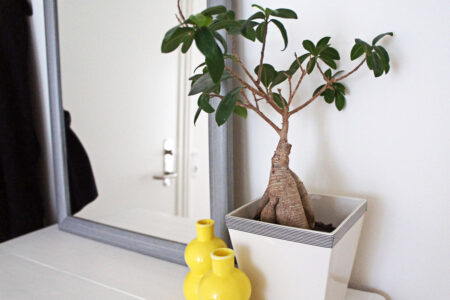 StyleDesignCreate: Masking tape