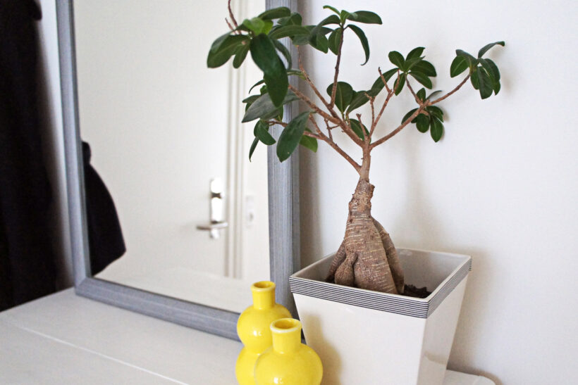 StyleDesignCreate: Masking tape