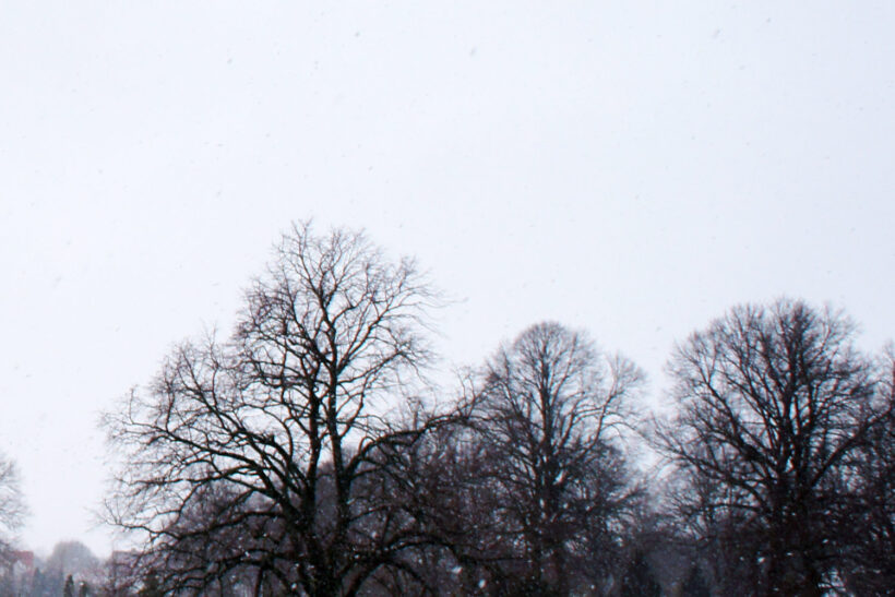 StyleDesignCreate: sne